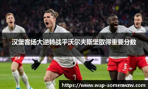 汉堡客场大逆转战平沃尔夫斯堡取得重要分数